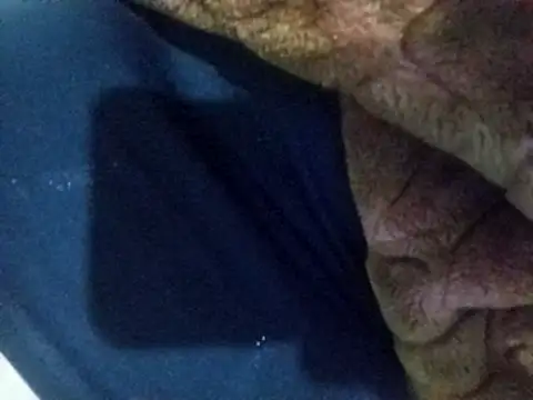 Rouzalinda_1's cam snapshot