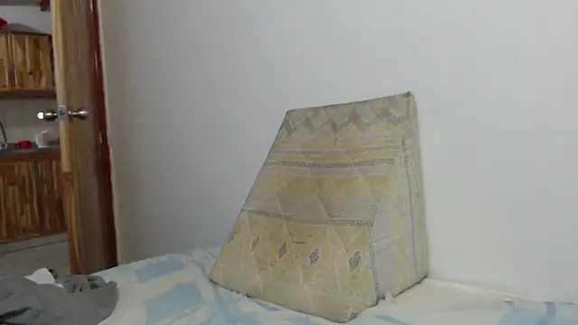 Dio__morningstar's cam snapshot