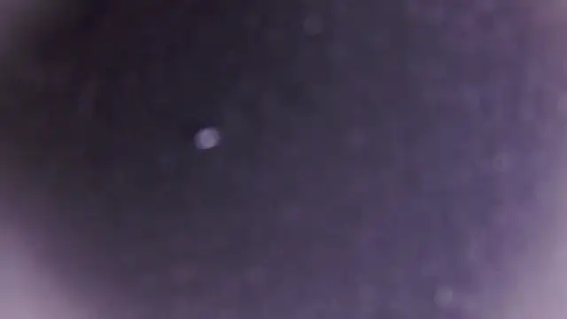 ChloeSimoon's cam snapshot