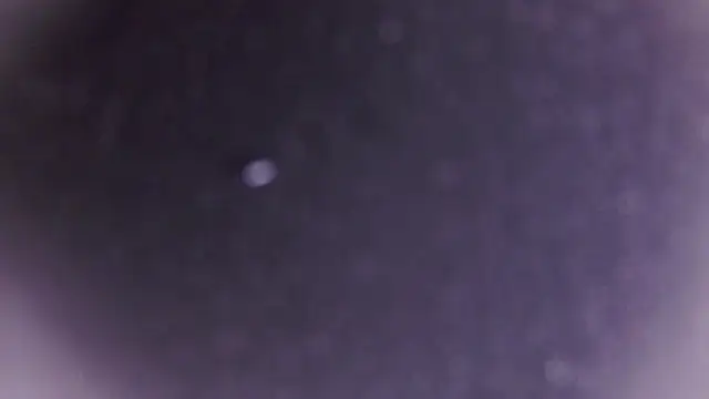 ChloeSimoon's cam snapshot