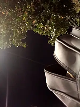 Cata_city1106's cam snapshot