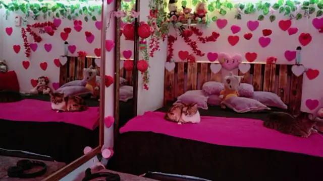 AzaharJaan live sex cam