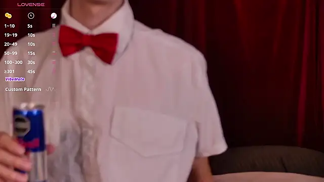 VicenteFerrer's cam snapshot