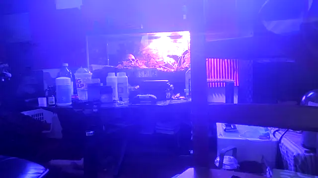 TheHellBilly live sex cam