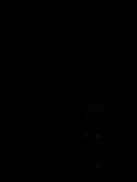 MonasticCanine live sex cam