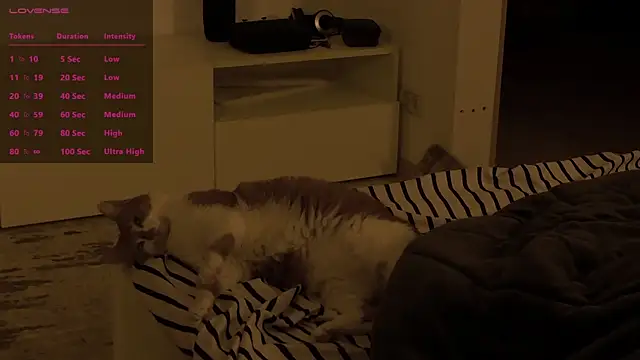 Moonsire1's cam snapshot