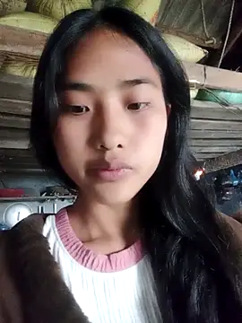 Hoa-tuylip's cam snapshot