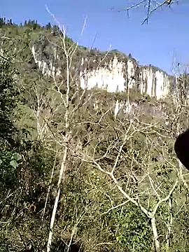 neko-nancy's cam snapshot