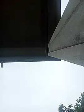 Hoa-tuylip's cam snapshot