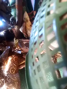 Rubi_sarma's cam snapshot