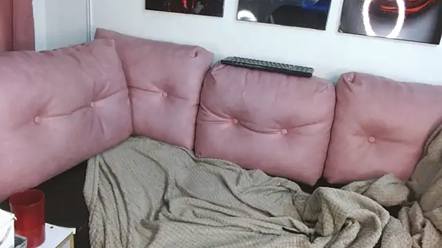 tael_novacs's cam snapshot