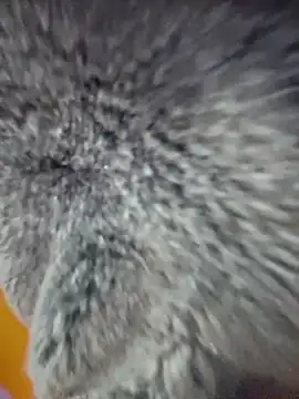 pinkstar_ live sex cam