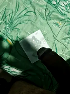 Chinocor1's cam snapshot