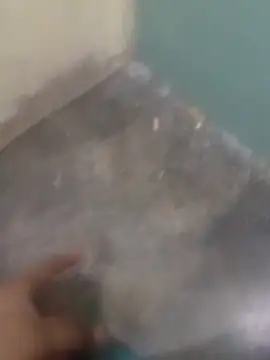 Pajito3000's cam snapshot