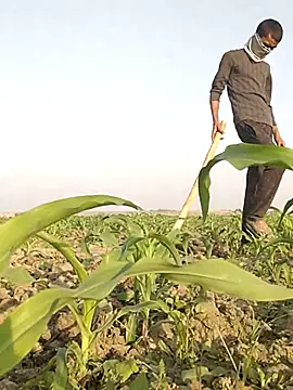 ThethunderPo's cam snapshot