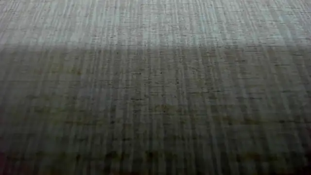 AishaRouhi's cam snapshot