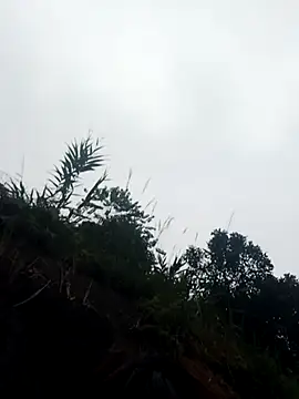 Ella3838's cam snapshot