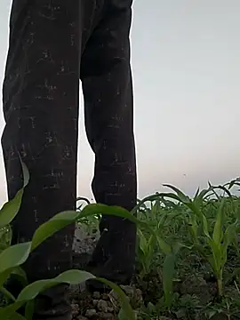 ThethunderPo live sex cam