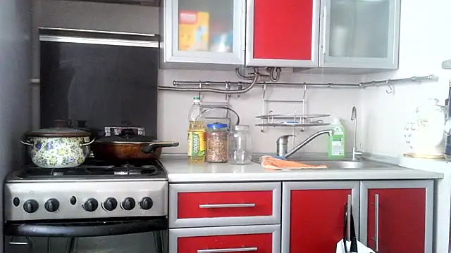 Kashtanka_'s cam snapshot