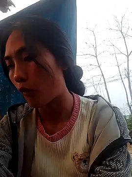 Hoa-tuylip's cam snapshot