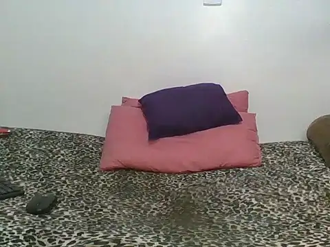 Cessylolla's cam snapshot