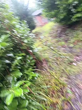 AliceDx's cam snapshot