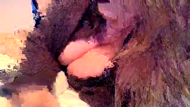 leadileo live sex cam