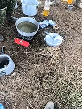 lamejorpene live sex cam