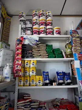 sammyqueenx21 live sex cam