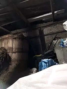 sarpe4's cam snapshot