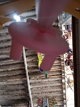 Lorenasex live sex cam