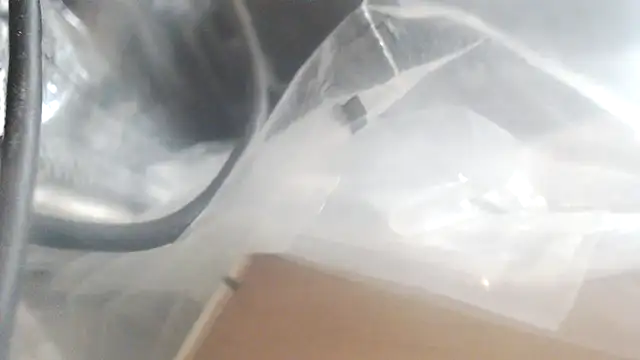 Tasiya's cam snapshot