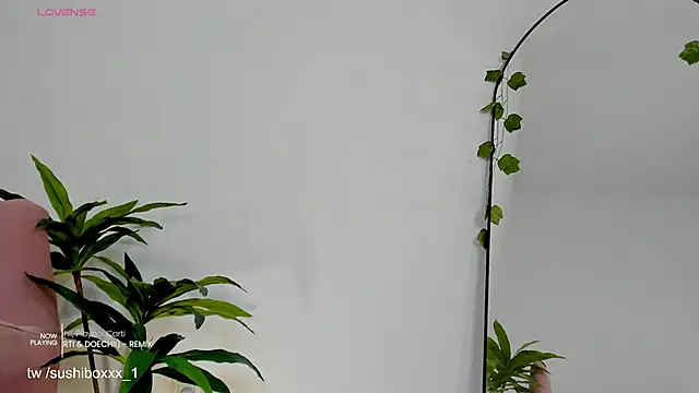 sushiboxxx live sex cam