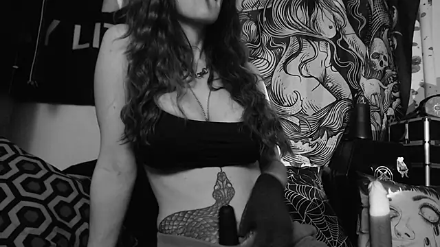 Silentmary's cam snapshot