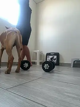 boss_of_cash live sex cam