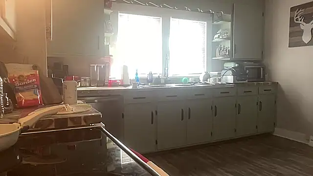 playwithdakota's cam snapshot