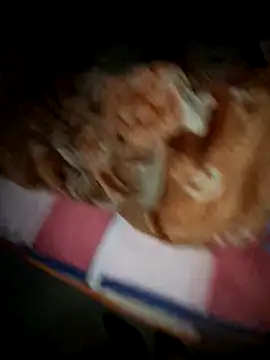 fantastic-couple live sex cam