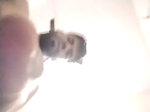 KALIBABa123764's cam snapshot