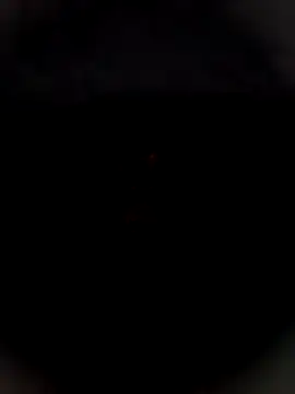 Bengal_Tiger420's cam snapshot