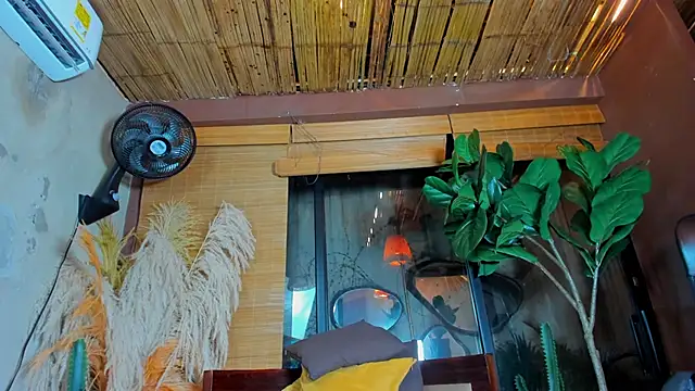 CrissCollins live sex cam