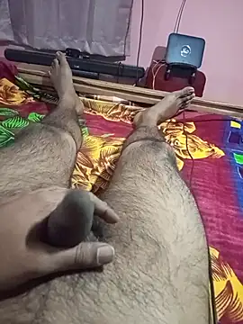 bengali_hard_dick12's cam snapshot