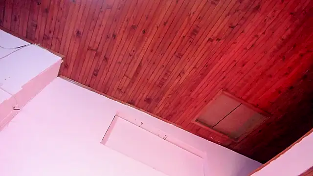 LeticiaHinkley's cam snapshot