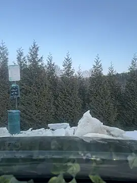 urpuppymoon's cam snapshot