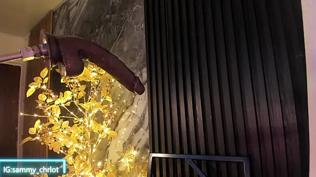 Sammy_charlot's cam snapshot