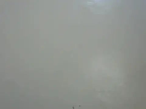 Rasta_tattooed live sex cam