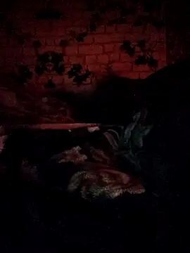 QuittingBiennial's cam snapshot