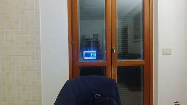 AMIRDIB2025's cam snapshot