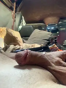 Likewise's cam snapshot