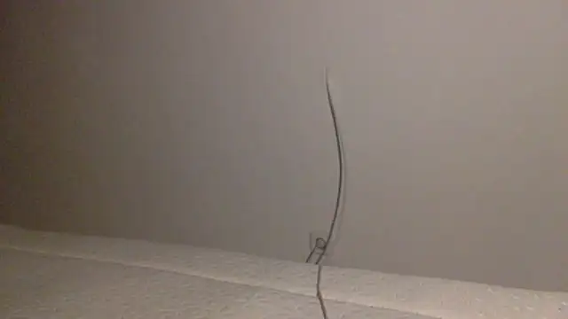 Palinchik's cam snapshot