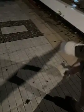 AlyssaFoxx_ live sex cam